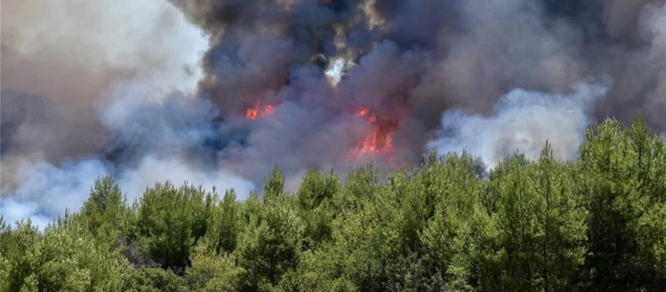 Φωτιά στον Ασπρόπυργο Αττικής - Επιχειρούν επίγειες και εναέριες δυνάμεις (βίντεο)